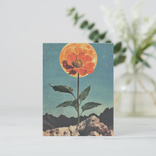 Postal Bloom Naranja iluminado por luna - Encanto Boho vi