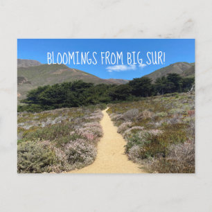 Postal ¡Bloomers desde Big Sur!