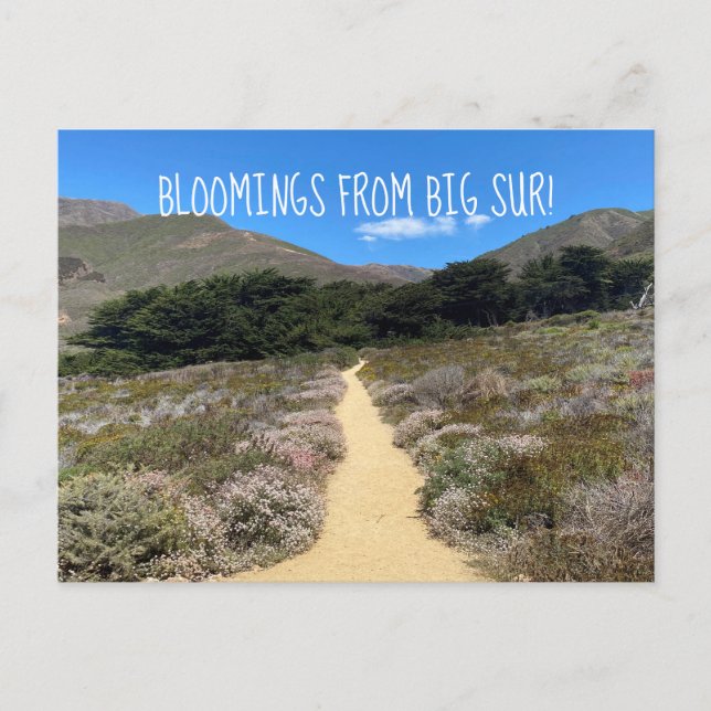Postal ¡Bloomers desde Big Sur! (Anverso)