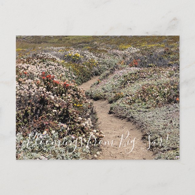 Postal ¡Bloomers desde Big Sur! (Anverso)