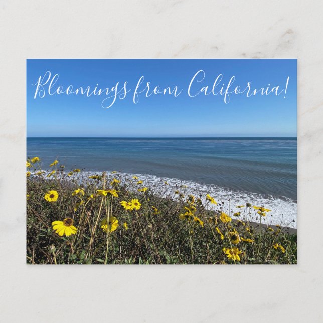 Postal ¡Bloomers desde California! (Anverso)
