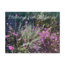 Bloomers desde California: ¡Adiós a la primavera!