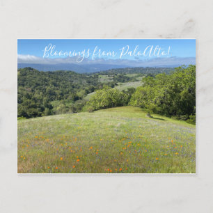 Postal ¡Bloomers desde Palo Alto!