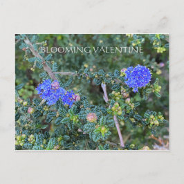 POSTAL BLOOMING VALENTINE