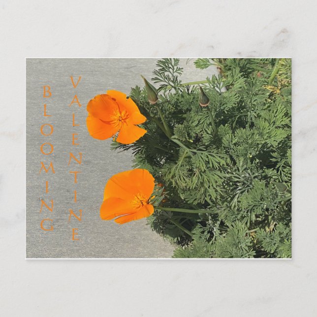 POSTAL BLOOMING VALENTINE (Anverso)