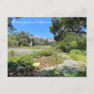 Postal Bloomings desde California: Columbina Occidental