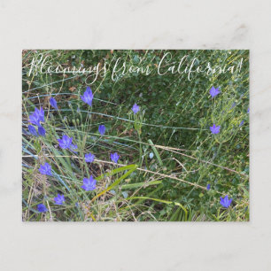 Postal Bloomings from California: El discurso de Ithuriel