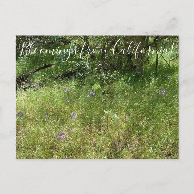 Postal Bloomings from California: El discurso de Ithuriel (Anverso)