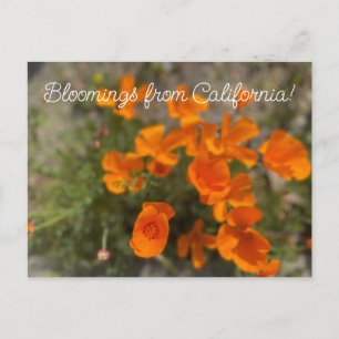 Postal Bloomings from California: Flores silvestres de ab