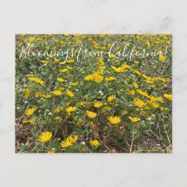 Postal Bloomings from California: Pacific Gumweed