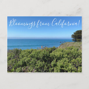 Postal ¡Bloomings from California!: Pincel de pintura ind