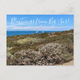 Postal Bloomings from California: Sea Cliff Bucktrigo