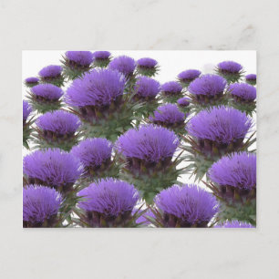 Postal Blooms de arte