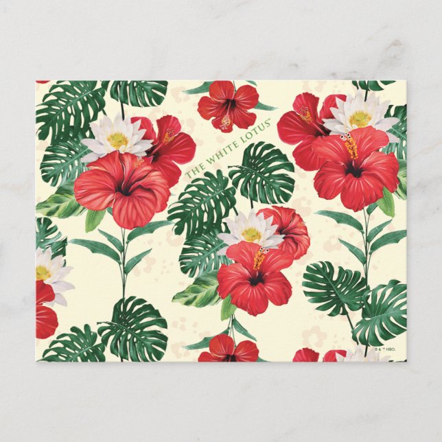 Postal Blooms tropicales del Loto Blanco (Anverso)