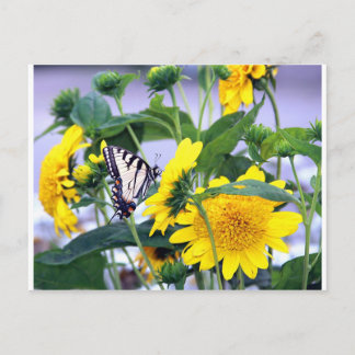 Postal Blooms y mariposas: cola para tragar