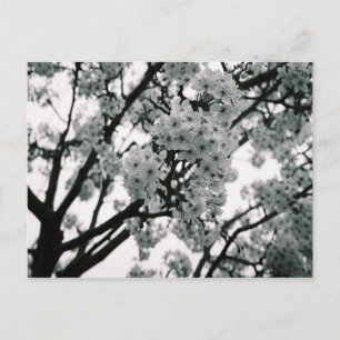 Postal Bloques en blanco y negro