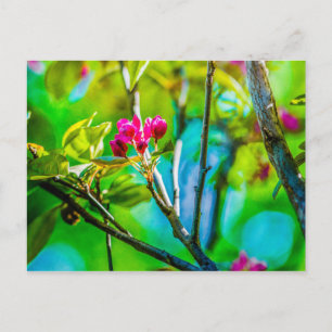 Postal Blossom Inside