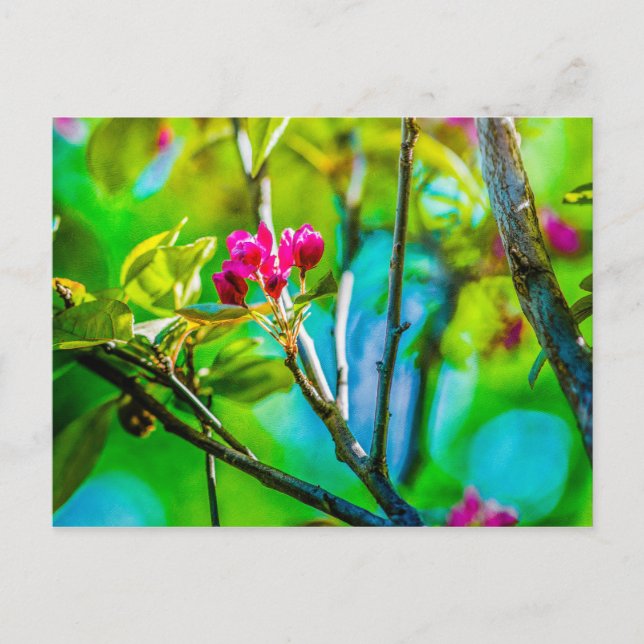 Postal Blossom Inside (Anverso)