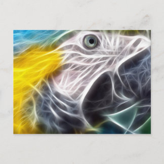 Postal Blue and Gold Macaw