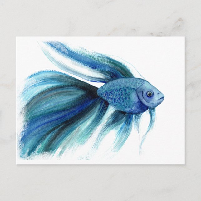 Postal Blue Betta Fish (Anverso)