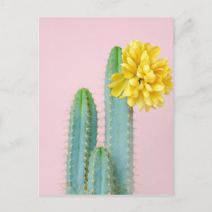 Postal Blue Cactus Trio