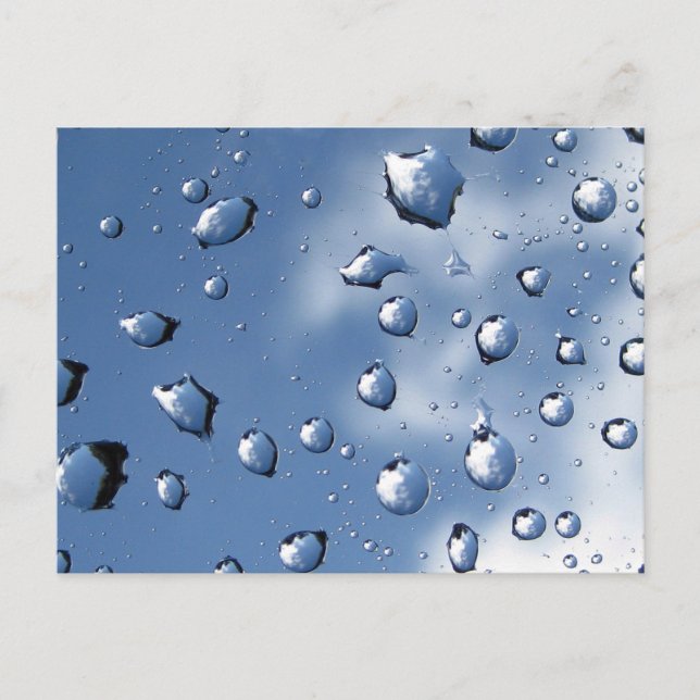 Postal Blue Dew Drop Fibonacci Naturaleza espiral (Anverso)