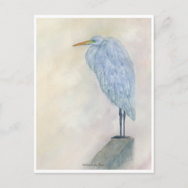 Postal Blue Egret Watercolor (Anverso)