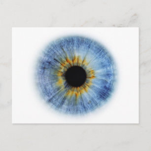 Postal Blue Eyeball