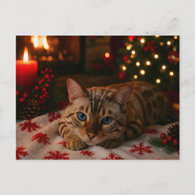 Postal Blue-Eyed Christmas Cat Postcard Cozy Fireplace (Anverso)