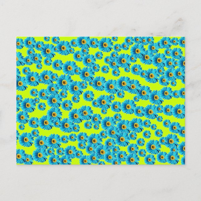 Postal Blue Gerber Daisy (Anverso)