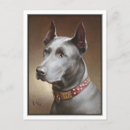 Postal Blue Great Dane por Carl Reichert