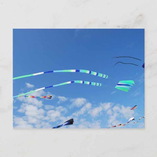 Postal Blue Green Long Tail Kite (Anverso)