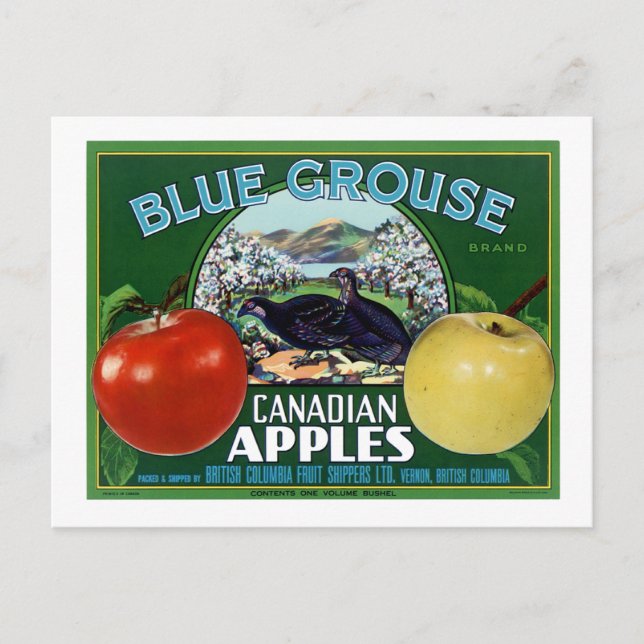 Postal Blue Grouse Manzanas Canadienses (Anverso)