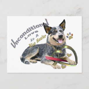 Postal Blue Heeler Amor Incondicional