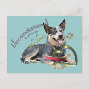 Postal Blue Heeler Amor Incondicional