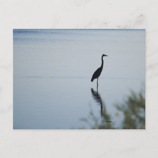 Postal Blue Heron
