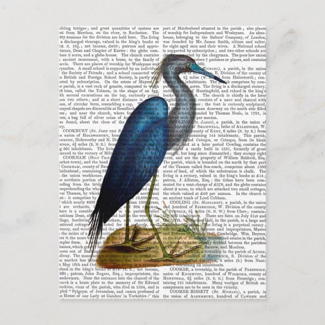 Postal Blue Heron 3 2 (Anverso)