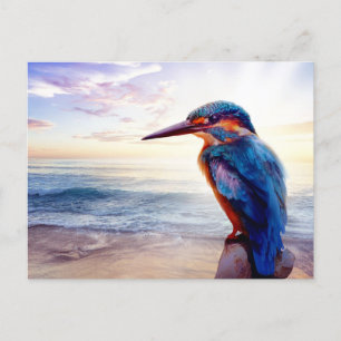 Postal Blue Hummingbird Sunset Beach