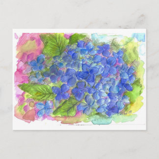 Postal Blue Hydrangea Watercolor Flower Art