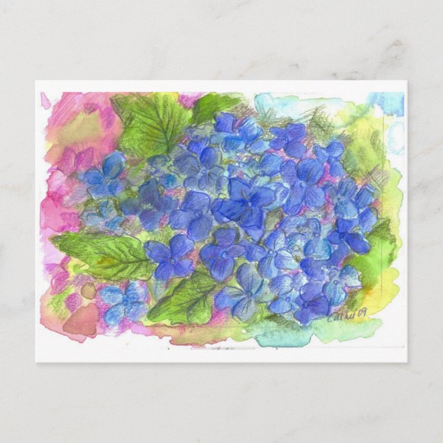 Postal Blue Hydrangea Watercolor Flower Art (Anverso)
