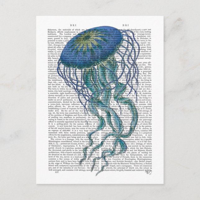 Postal Blue Jellyfish (Anverso)