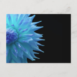 Postal Blue Jennie On Black Postcard