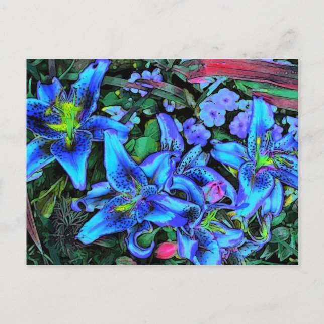 Postal Blue Lilies (Anverso)