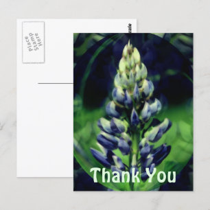 Postal Blue Lupine Abstract Floral Gracias Postcard