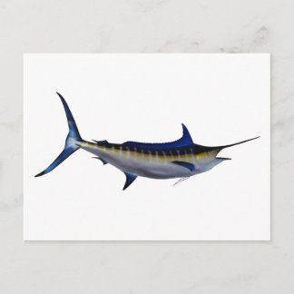 Postal Blue Marlin Fish