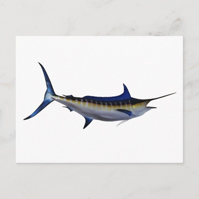 Postal Blue Marlin Fish (Anverso)