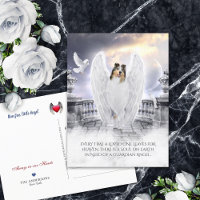 Blue Merle Collie Angel Heaven - Simpatía por pérd