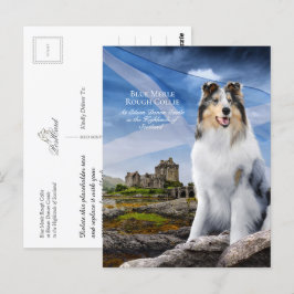 Postal Blue Merle Collie, Eilean Donan y Scottish Flag -