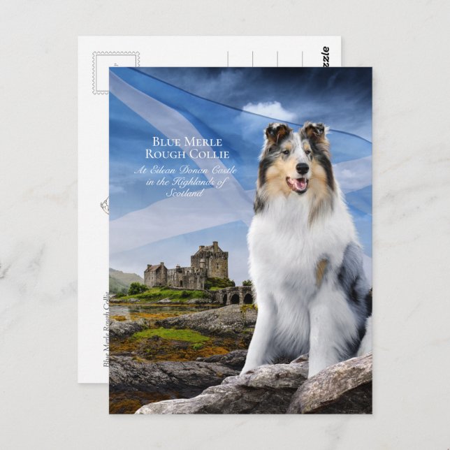 Postal Blue Merle Collie, Eilean Donan y Scottish Flag - (Anverso / Reverso)