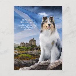 Postal Blue Merle Collie, Eilean Donan y Scottish Flag -